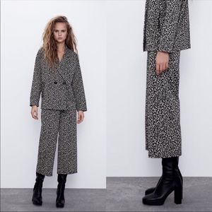 Zara Leopard Animal Print Pants Size Small NWT